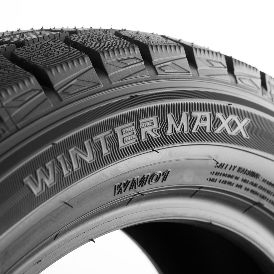 Шины Dunlop Winter Maxx WM01