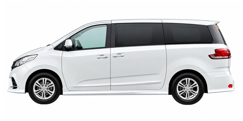 mpv